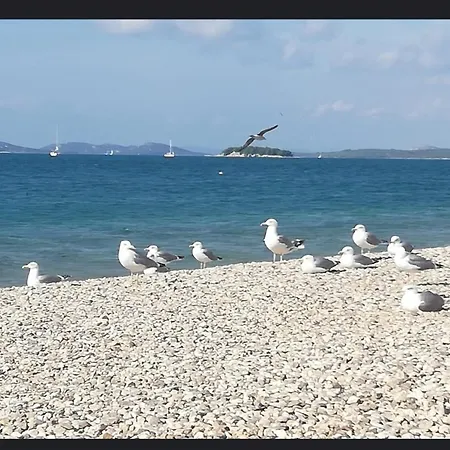 In Mit Terrasse, Klimaanlage, W-lan * Pirovac